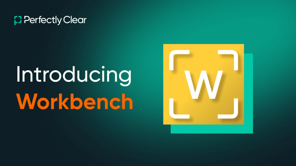 Perfectly Clear Workbench Tam Program İndir